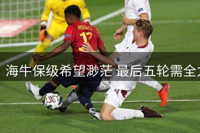 海牛保级希望渺茫 最后五轮需全力拼搏